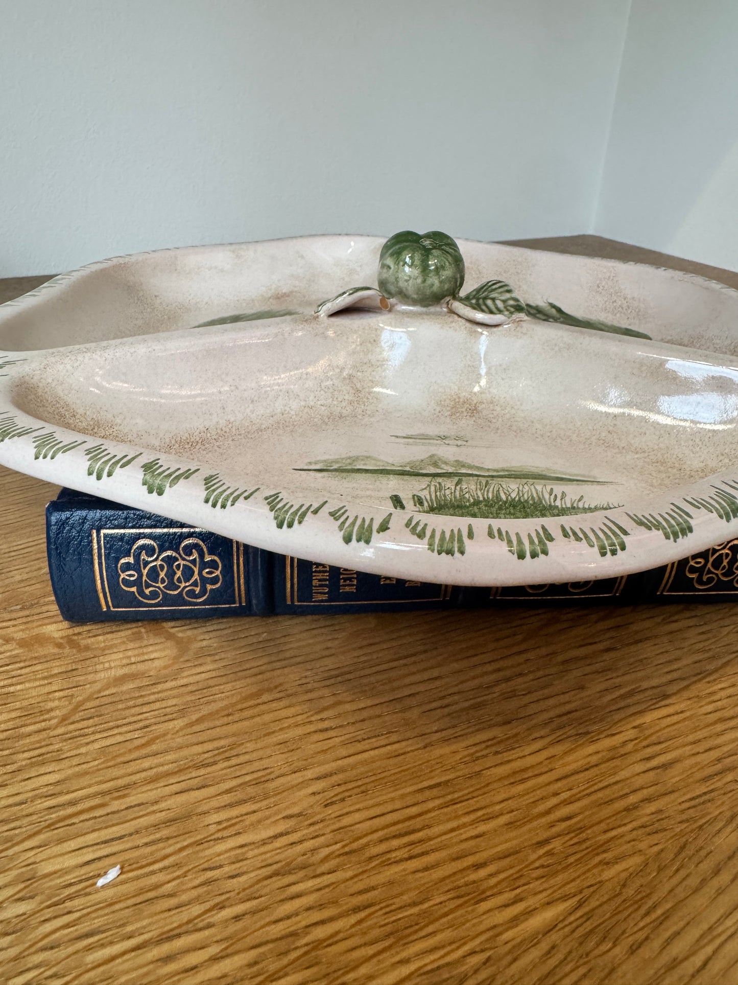 Sihl Zurich Hand-Painted Divided Ceramic Dish - Scenic Green Landscape Design, Midcentury Modern Swiss Pottery (12")