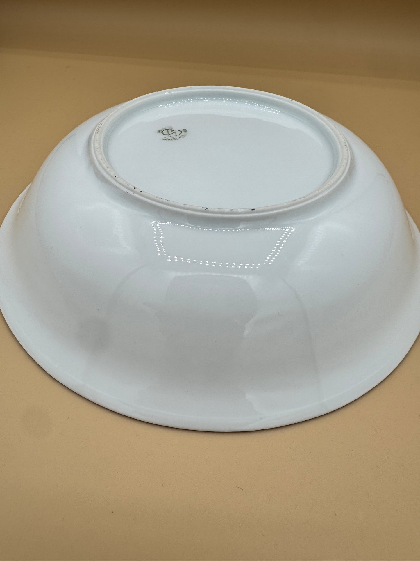 Gebrüder Benedikt Porcelain Bowl – Bird & Floral Design, Czechoslovakia, 8.5”