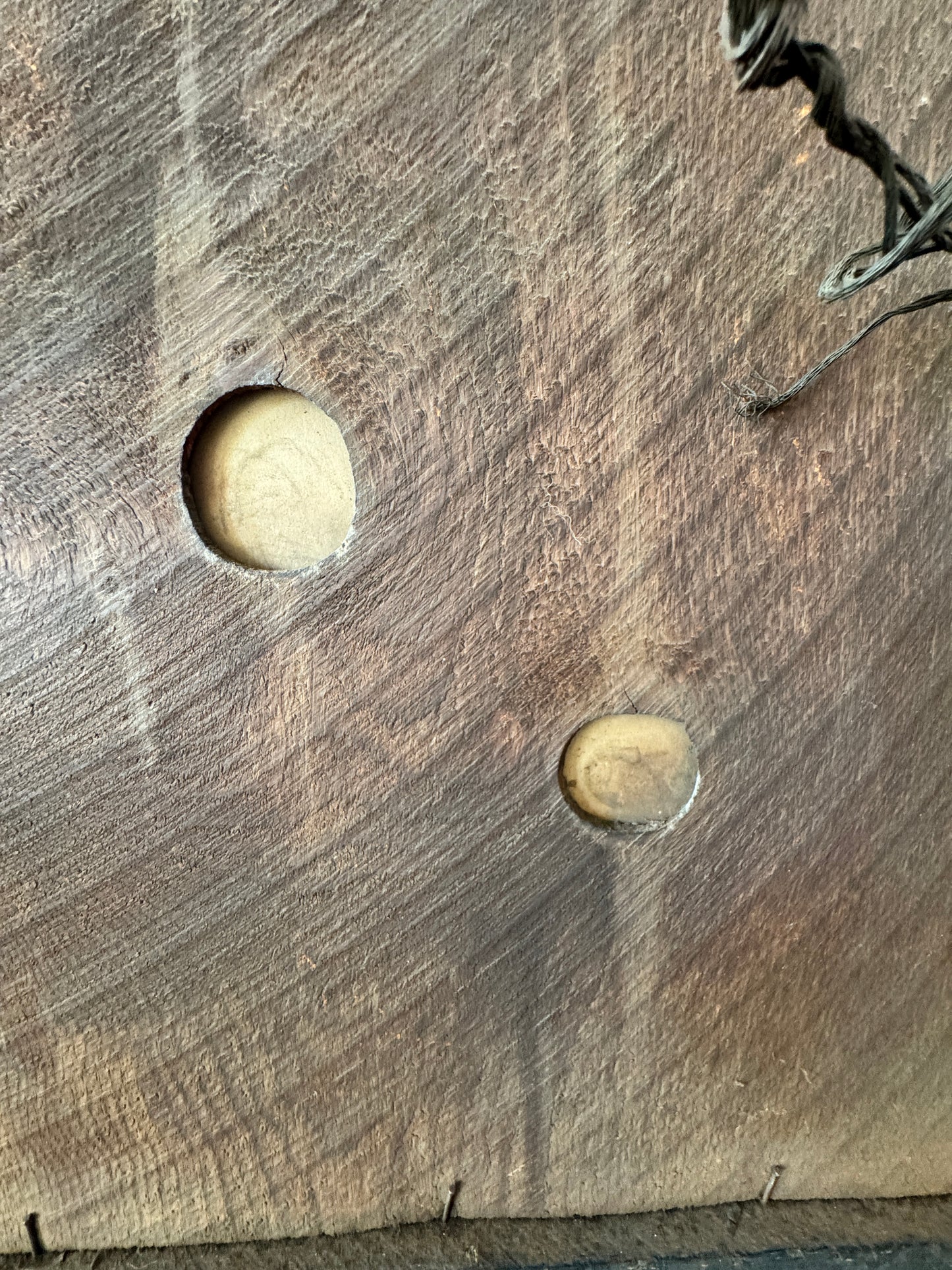 Victorian Oval Portrait in Ornate Frame