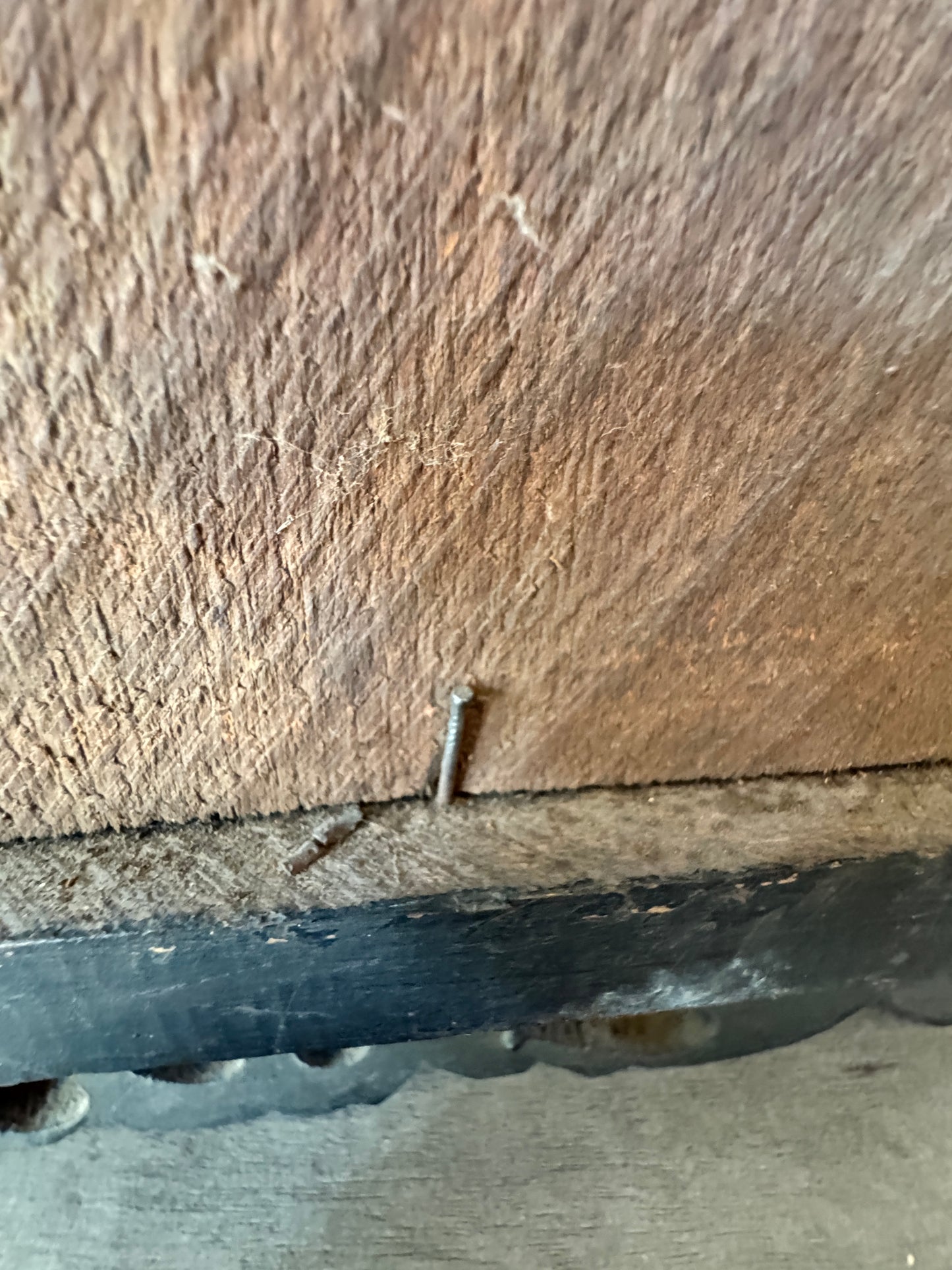 Victorian Oval Portrait in Ornate Frame