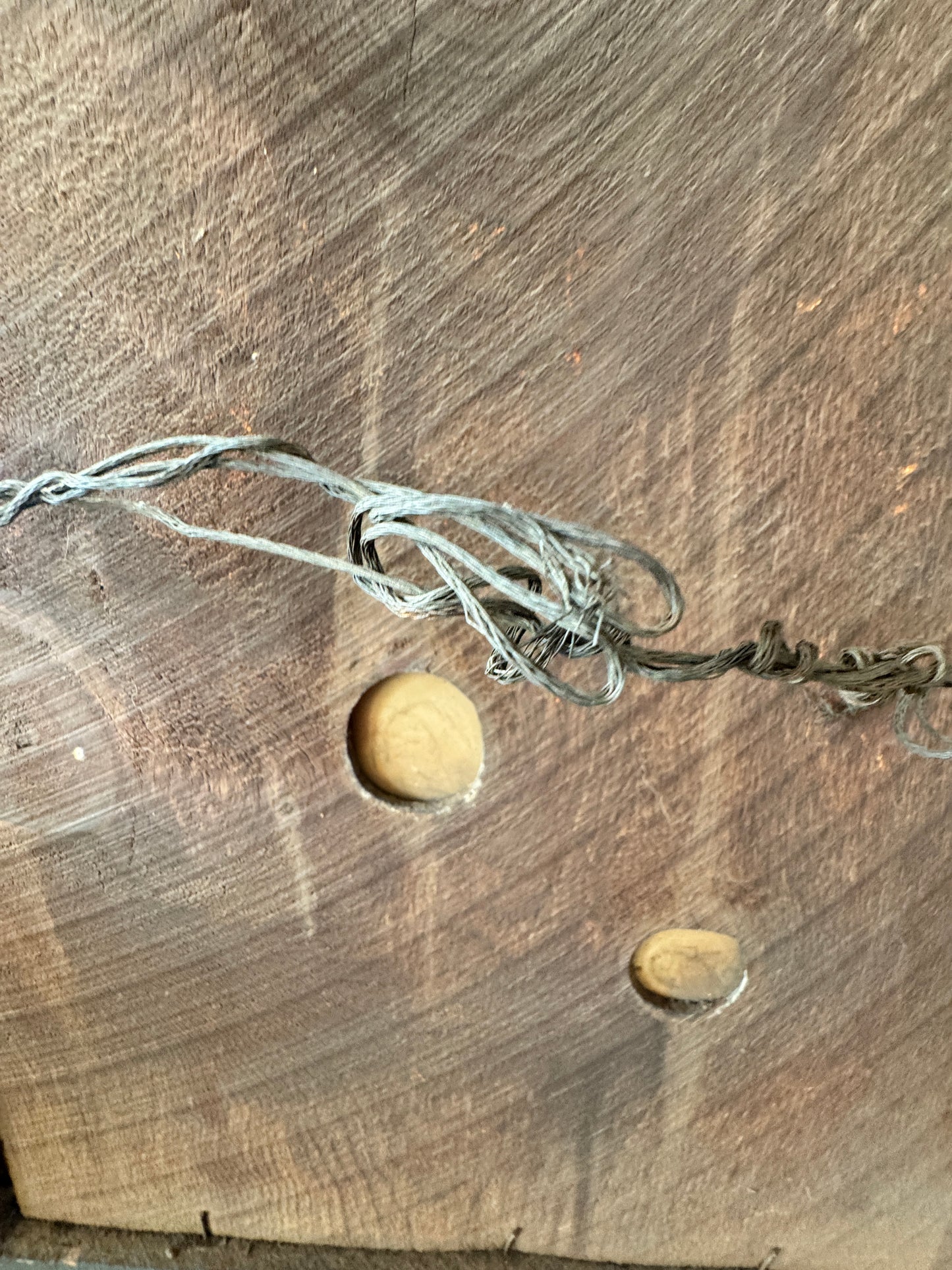 Victorian Oval Portrait in Ornate Frame