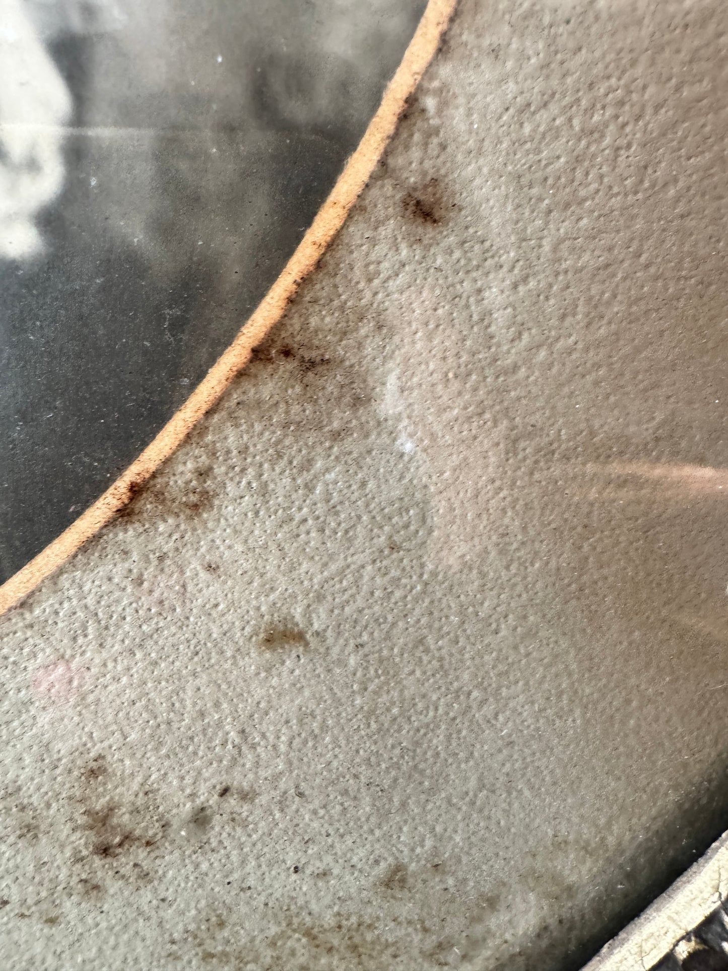 Victorian Oval Portrait in Ornate Frame