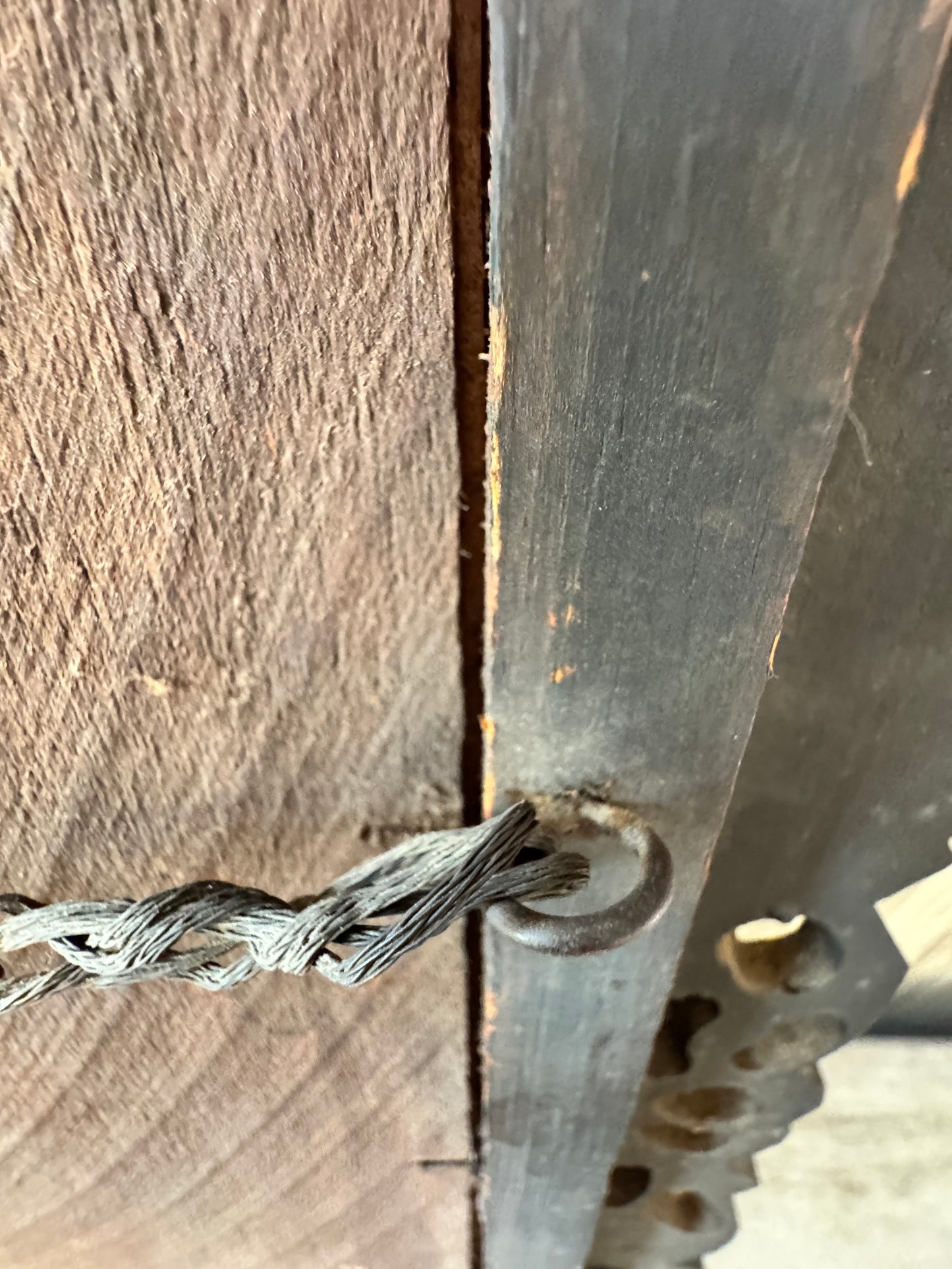 Victorian Oval Portrait in Ornate Frame