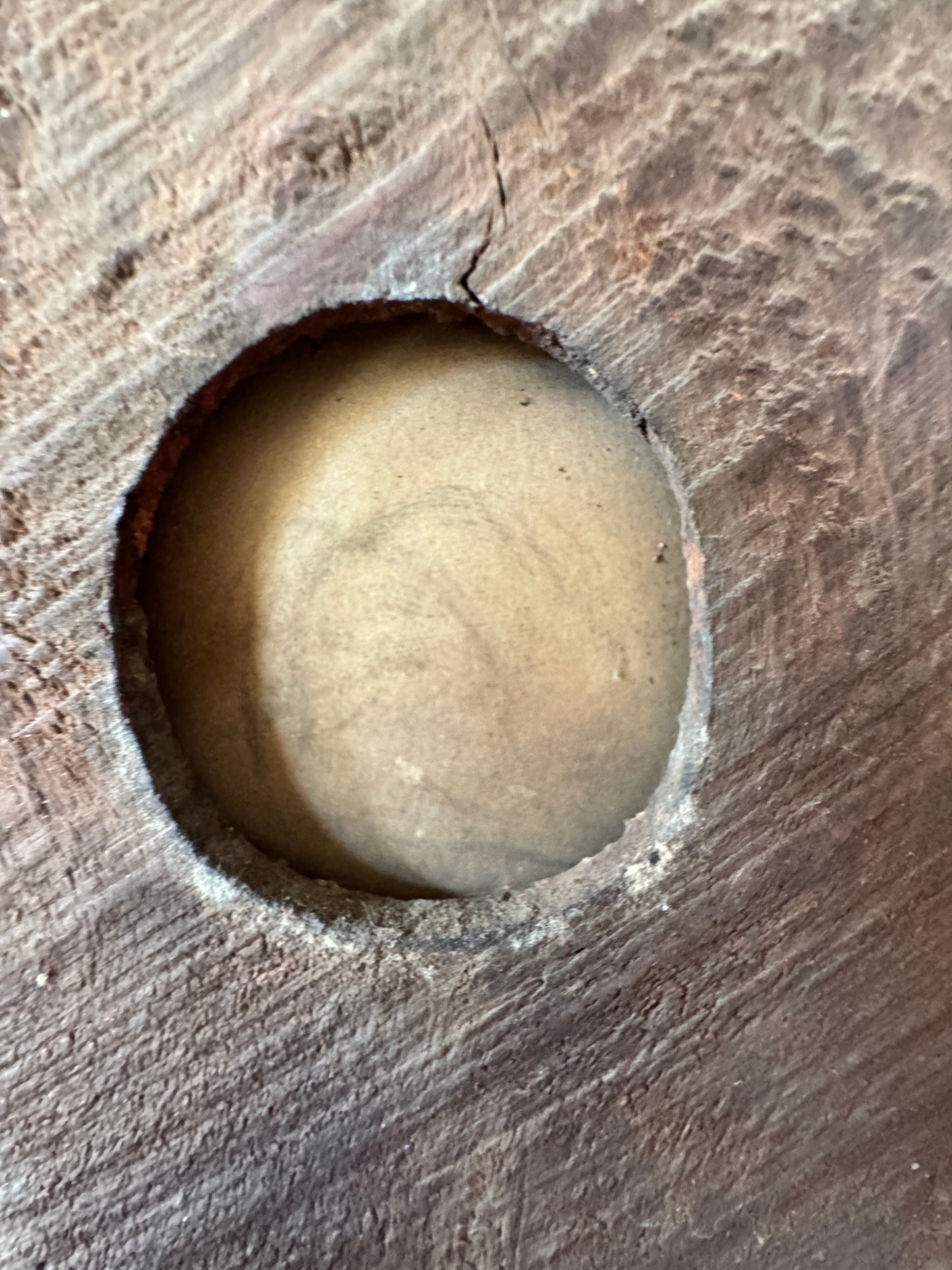 Victorian Oval Portrait in Ornate Frame