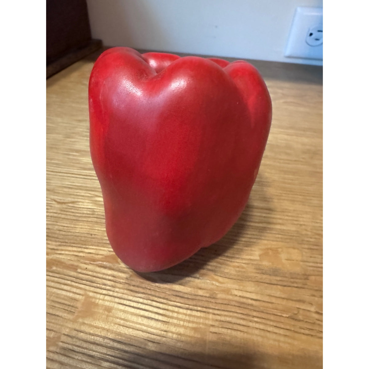 Mary Kirk Kelly Ceramic Red Bell Pepper Sculpture – Signed