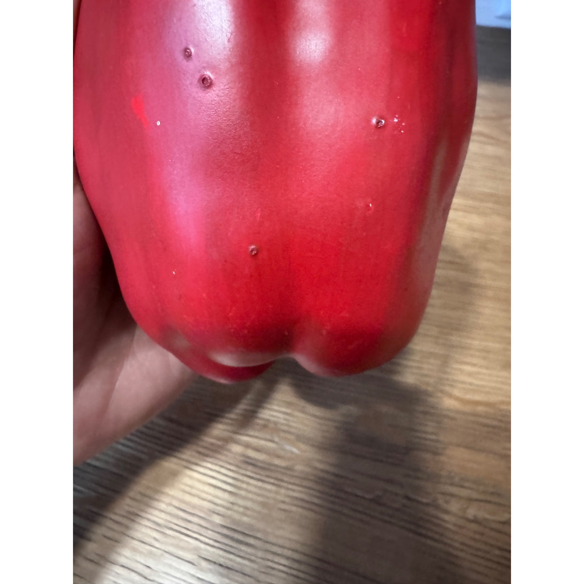 Mary Kirk Kelly Ceramic Red Bell Pepper Sculpture – Signed