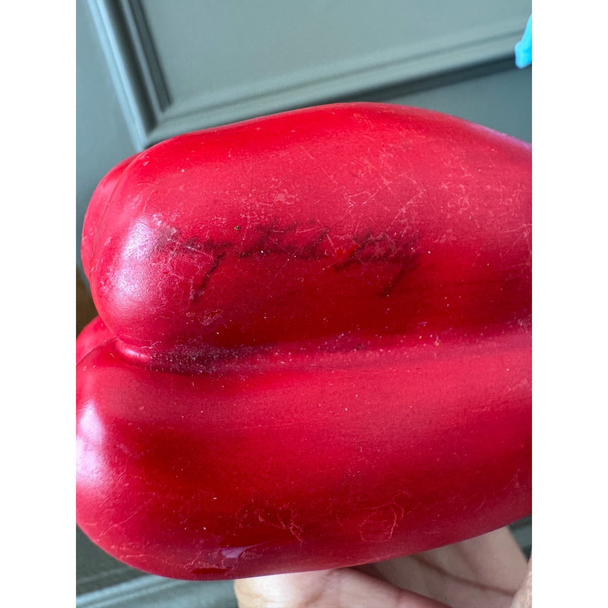 Mary Kirk Kelly Signed Ceramic Red Bell Pepper
