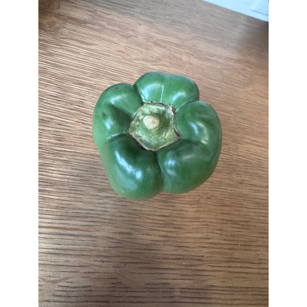 Mary Kirk Kelly Signed Green Bell Pepper Ceramic Sculpture – 1993